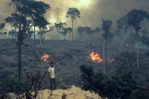 American Masters: A Fierce Green Fire