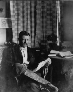 Theodore Roosevelt circa 1903.  Photo courtesy Library of Congress.