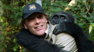 Conservationist Damian Aspinall reunited with chum Kwibi after the gorilla, who was raised in Aspinall's animal sanctuary in the UK, had been released for five years in a West African national park. Kwibi's journey is documented in NATURE: ANIMAL REUNIONS. Photo courtesy Tigress Productions.
