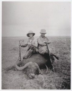 Theodore Roosevelt and his son, Kermit, hunted buffalo and other game while on African safari in 1908. Photo courtesy Theodore Roosevelt Collection, Harvard College Library.